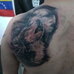 Wolf.. #tattoo #RealismTattoos #blackandgreytattoo #tattooart #Tattoodo #tattooist
