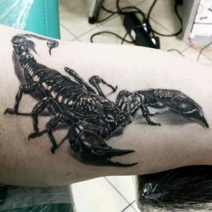 By Dawid Kamel#tattoodo #TattoodoApp #tattoodoBR #escorpião #scorpion #realismo #realism #pretoecinza #blackandgrey #DawidKamel