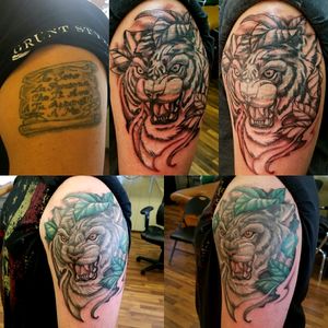Tiger coverup