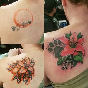 Lily paw cover Up