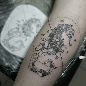 Cavalo Marinho  Tatoo, Criaturas, Fotos de casais