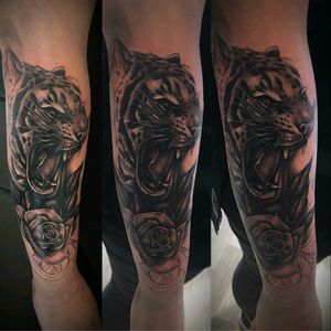 Tiger as start of a sleeve, more added soon Made with Critical tattoo supply Shadowline World famous Critical Butterluxe Thanks for looking ✌#tigertattoo #tattoosleeve #realistictattoo #rosetattoo #girlswithtattoos #tattoos #tattooartist #tattoostudio #tattooart #bodyart
