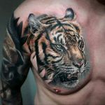 Amazing tiger by Sandra Daukshta#tattoodo #TattoodoApp #tattoodoBR #realismo #realism #tigre #tiger #colorido #colorful #natureza #nature #animal #SandraDaukshta