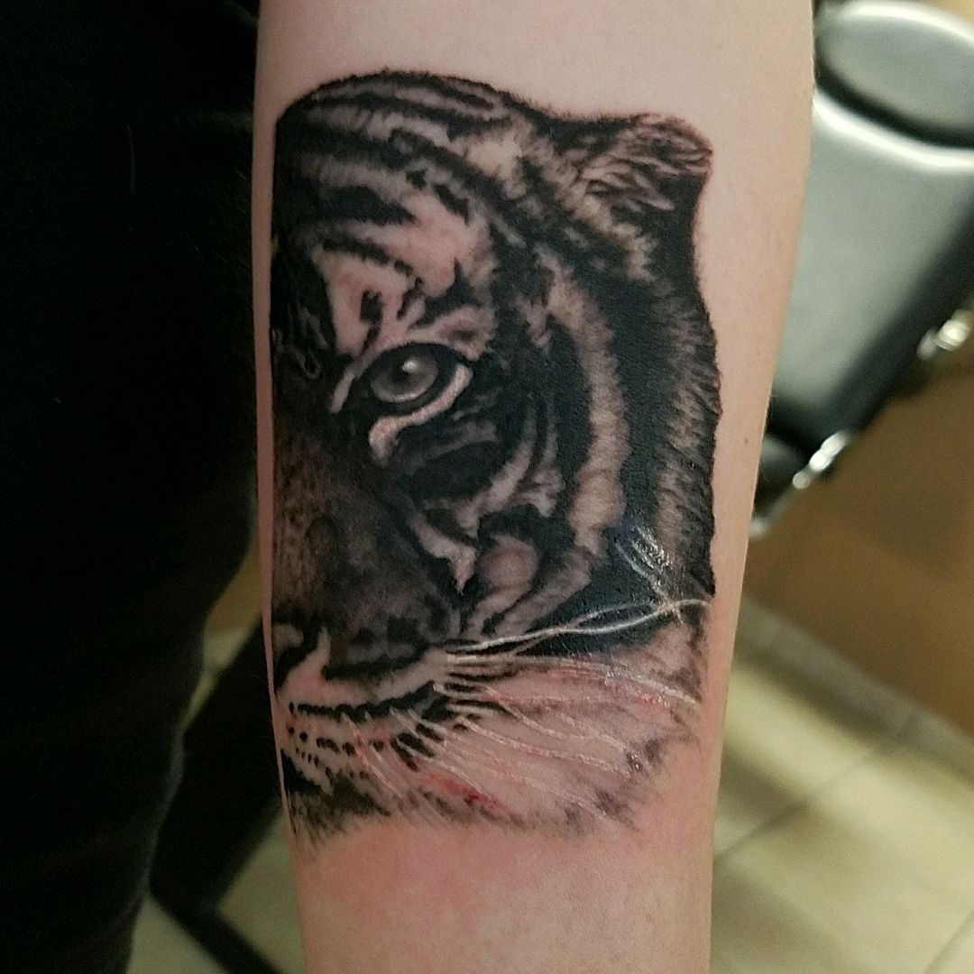 Tattoo uploaded by Aaron Sanchez • Eye of the tiger! • Tattoodo