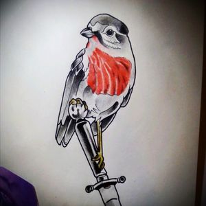 Practicando ando #NeoTraditional #Bird #Dagger #Tattoo