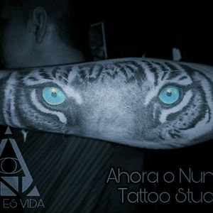 #tattoo #tiger #curado