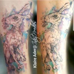 #fresh #healed #hare #haretattoo Not a #rabbit #sketchtattoo #sketchstyle #illustrative #watercolor #watercolortattoo
