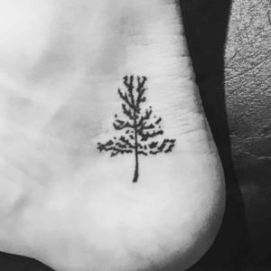 Little tree