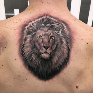 Second tattoo:Real lion 🦁 #realtattoos #realism #realistic #liontattoo #reallion #lion