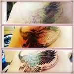 #schulter #tattoo #tattoos #tattooedmann #tattooedwoman #tattooedgirl #tattooartist #followme #follower #follow #followforfollow #blackgrey #cheyenehawk #eternal #dreamtattoo #mindblowing #mone1971 #tattooed