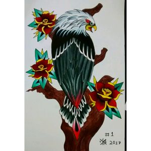 Traditional EagleSorocaba | SP | Brasil