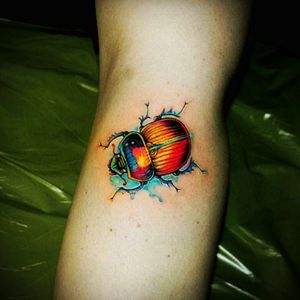 #beetle #color #animal #small