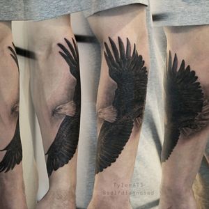 Eagle forearm tattoo.
