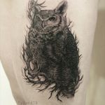 Owl and tree morph tattoo.