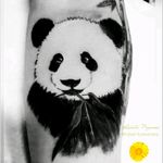 🐼 Aquela que adoramos o resultado 🙏 #panda #pandatattoo #cobertura #cover #bamboo #tattoo #bambu #tattoolovers #homenagem #arm #semfiltro #tatuagem #tattoofeminina #bear🐻 #tats #tatau #rabiscos #followme #instainspiredtattoos #tattoo2me #electricinkpigments #amotatuagem #inkedtattoo