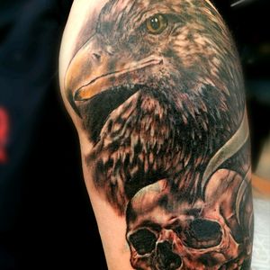 Cover eagle and skull