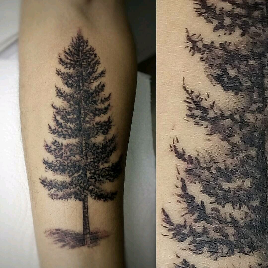 Tattoo uploaded by Gabriela Serrano  Pine Tree  JUNE 2018  blackart  blackwork blackartist pinetree riodejaneiro brasil  Tattoodo