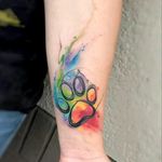 Watercolor by Gina Fote #tattoodo #TattoodoApp #tattoodoBR #colorida #colorful #aquarela #watercolor #cachorro #dog #GinaFote