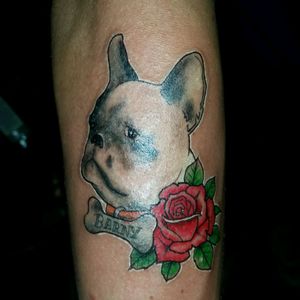 (ॐ) Contacto (ॐ) Facebook: Francisco José González Tumblr: fj-tattoostudio Instagram: fj_tattoostudio FacePag: FJ Tattoo (ॐ) Tags (ॐ) #job #tattoo #tattoos #ink #inked #inkedup #tatuaje #tattooed #ciervo #tattoos #draw #painting #paint #inkstagram #follow4follow #followforfollow #tattoospain #malagatattoo #love #animalstattoo #like4like #likeforlike #world #hand #tattoohand #inktattoo #bodyart