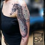 Seahorse by George Drone #tattoodo #TattoodoApp #tattoodoBR #tatuagem #tattoo #cavalomarinho #seahorse #colorida #colorful #GeorgeDrone
