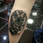 Dog portrait by Doug De Farias #tattoodo #TattoodoApp #tattoodoBR #tatuagem #tattoo #cachorro #dog #retrato #portrait #pretoecinza #blackandgrey #tatuadoresdobrasil #DougDeFarias