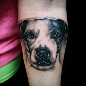 Dog portrait! .. #blackandgrey #dogportrait #fusiontattooink #realistictattoo #highcontrast #cheyennetattooequipment #realism #funtattoos #buschatzke #longisland #resonancetattoo #tattoodo #TattoodoApp