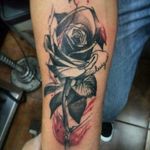 Rose tattoo #Brianno #tatuadoresmexicanos #tatuajesmexico