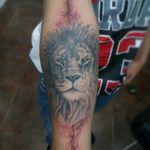 Lion tatto #Brianno #Tatuadoresmexicanos #tatuajesmexico