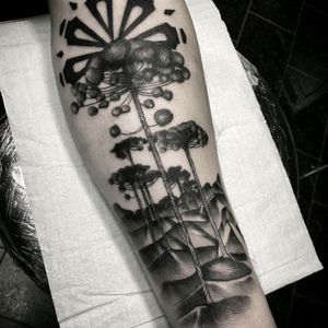 Tattoo araucária, tattoo Curitiba