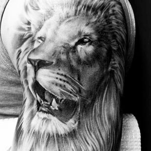 #lion #leon #nature #realist