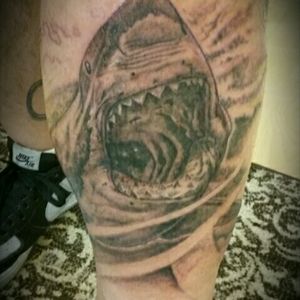 Lil great white shark action. Thom Boyle A-ville's finest tatty shop
