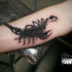 Scorpion By Ela. #tattoobanana #tattoo #tattoos #tatts #bodyart #inked #thurles #ink #tattoolovers #tatuaze #worldfamousink #sabretattoosupplies #irelandtattoostudio #tattooprime #scorpion #scorpiontattoo #realistic