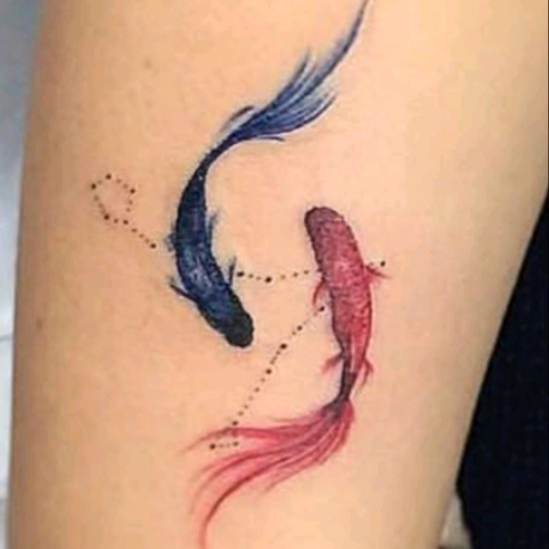 Созвездие рыбы тату