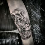 Tattoo ARTIST Dallier Instagram @dallier73 #dallier #lion #blackandgraytattoos