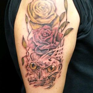 Two roses,owl