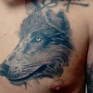 Wolf  #tattoo #tattoos  #tat #toptags #ink #inked #tattooed #tattoist #coverup #art #design #instaart #instagood #sleevetattoo #handtattoo #chesttattoo #photooftheday #tatted #instatattoo #bodyart #tatts #tats #amazingink #tattedup #inkedup