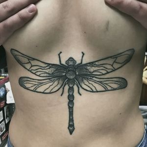 healed dragonfly