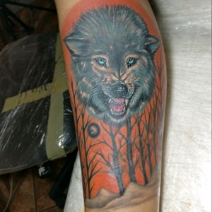 Tatuagem de um lobo para correção de cicatriz...#tattoo #lobo #correcaodecicatriz #tattoocolorida #colortattoo #wolf #tattoobrasil #coverupscar#Tattoodo #brasiliantattoo#tatuadoresdobrasil
