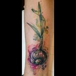#tattoosnancy #nancytattooer #nancytattoos #amsterdamtattoo #tattoodo #watercolor #watercolortattoo #beauty #art #arttattoo #tattooart #equilattera #tattrx #garlic #foodtattoo
