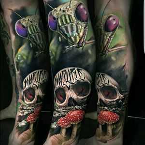 #tattoo #antfarm #skullz #skull #tattoodo #colorfull #color #inked #tattoo #realism #skulltattoo #rad #realism #realistic #imk #art #dreamtattoo #insect #mushroom #mushrpoms #mushroomtattoo #ant #anttattpo #tattooart #fullcolor #colour #unreal #hyperrealism #skulls #sugarskull
