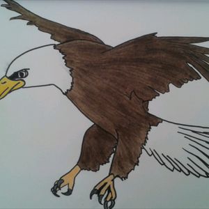 #eagle #aquila #drawing