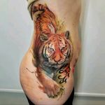 By Adrien Ciercoles #tattoodo #TattoodoApp #tattoodoBR #tatuagem #tattoo #tigre #tiger #natureza #nature #aquarela #watercolor #AdrienCiercoles
