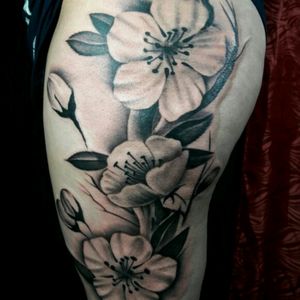 Amapola flowers tattoo 😍😍❤