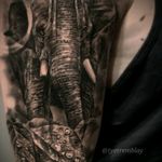 #elephant #leaves #wildlife #morph #blackandgrey #realism