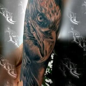 Eagle tattoo #polazcona#extremeargentina#tattoobypol