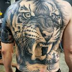 Amazing tattoo by Bum Choi #tattoodo #TattoodoApp #tattoodoBR #tatuagem #tattoo #tigre #tiger #pretoecinza #blackandgrey #realismo #realism #BumChoi