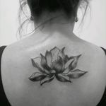 Lotus flower tattoo #lotustattoo
