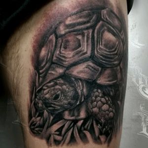 Tattoo by tattoo by pol