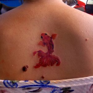 #tattoo #tatuagem #TattoodoApp #eletrickink #colors #fish #tattoospequenas #tattooed #tattooedwomen #tattoopiaui #tattoobr #tatts