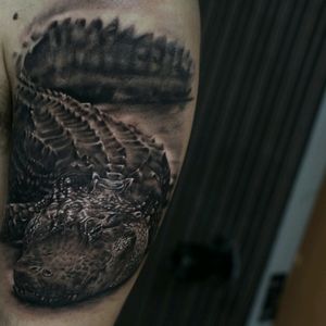 Godzilla! Haha🐊 #realistic #realistictattoo #tattoo #blackandgrey #crocodiletattoo #crocodile